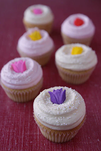 Get Well Cupcake